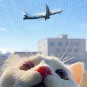 色欲久久久中文欧美
